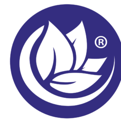 logo2 logo2